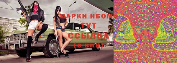 ПСИЛОЦИБИНОВЫЕ ГРИБЫ Вязники