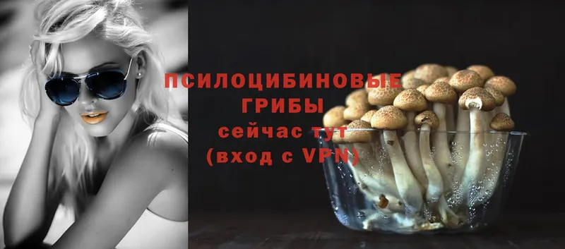 Галлюциногенные грибы мухоморы  купить наркотик  Апатиты 